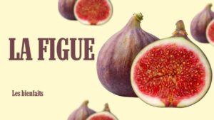 Figue